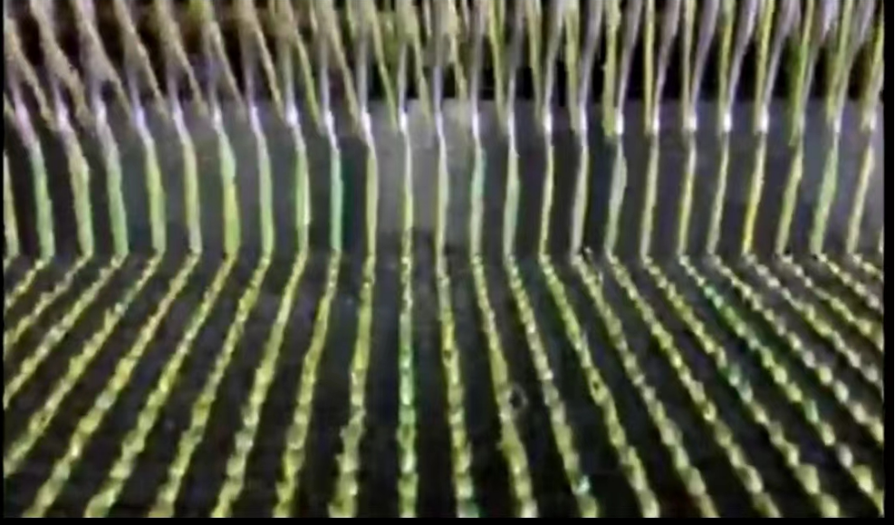 7a2c2cec6510360981b8a45a258c392.png